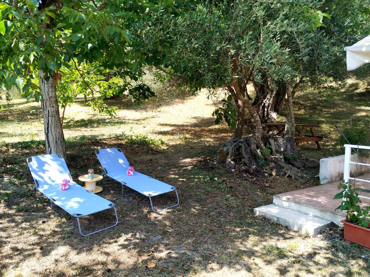 Family Holiday Apartment With Garden & Bbq Velonádes Dış mekan fotoğraf
