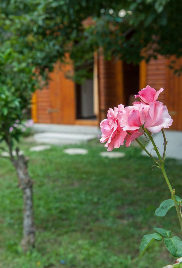 Family Holiday Apartment With Garden & Bbq Velonádes Dış mekan fotoğraf